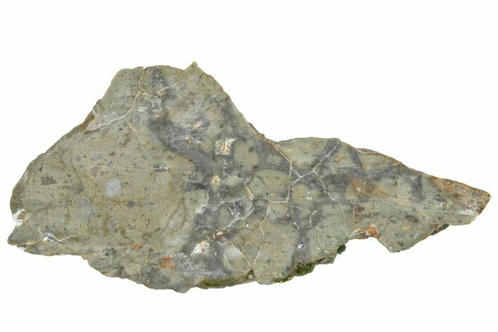 NWA Lunar Meteorite ( g) Slice #360590